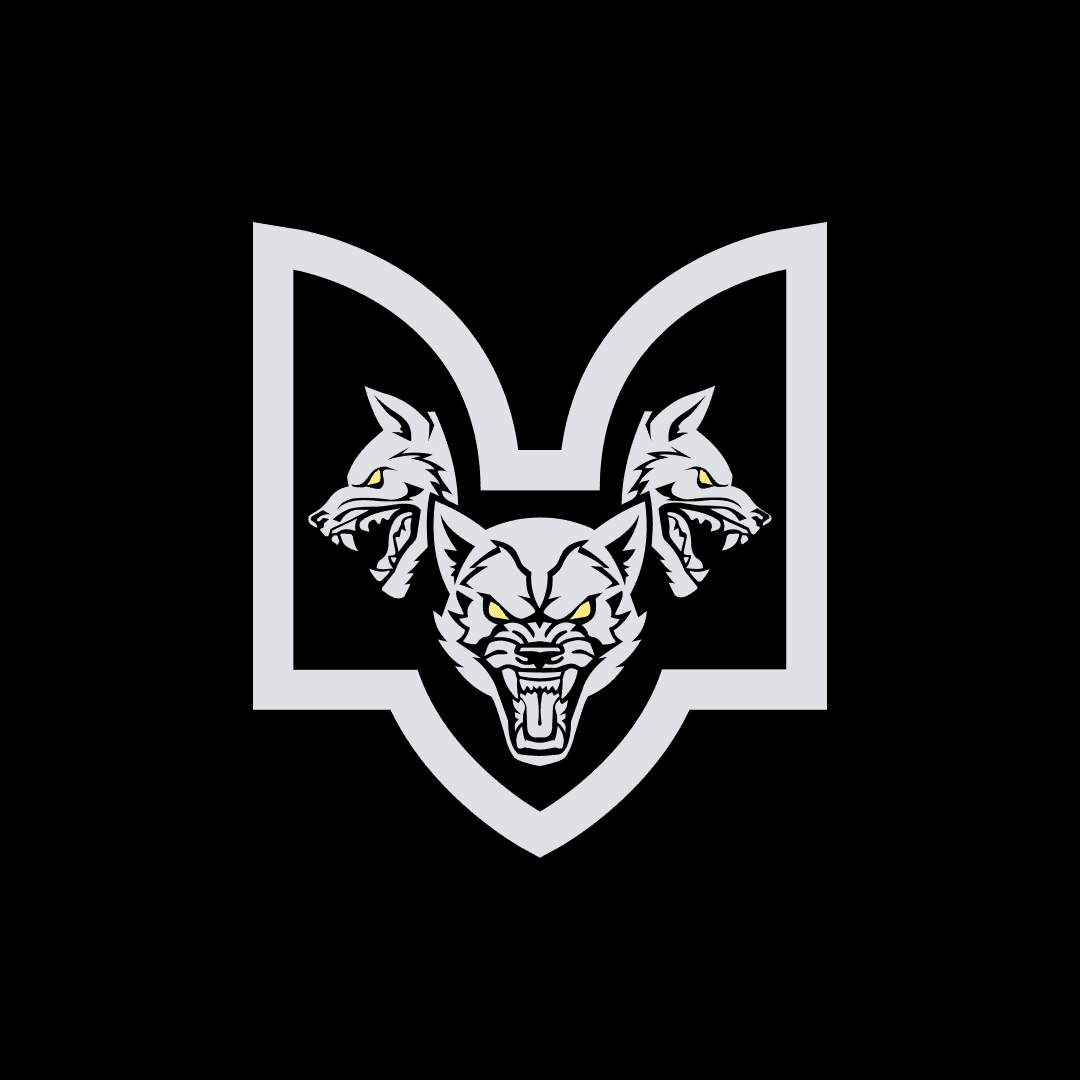 Da Vinci's Wolves - Ukrainian military unit on The Chronicles